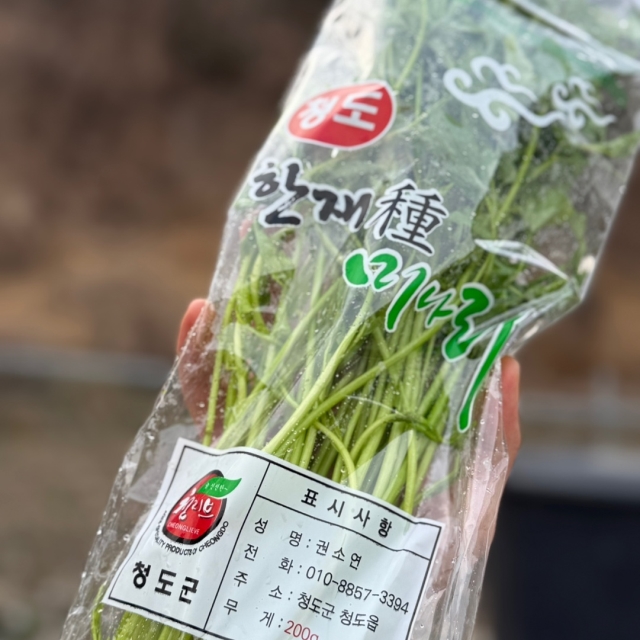 청도 무농약 미나리 200g