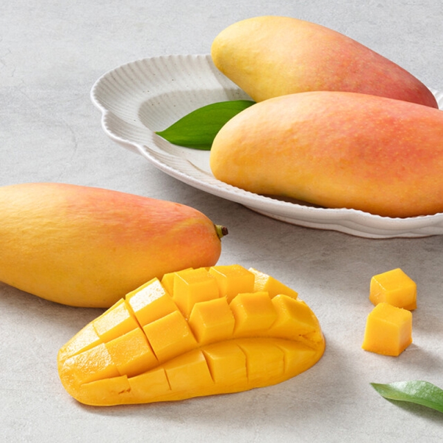 마하차녹 무지개망고 1kg
