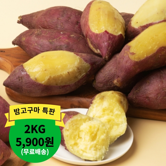 [특판]해남직송 밤고구마 2kg