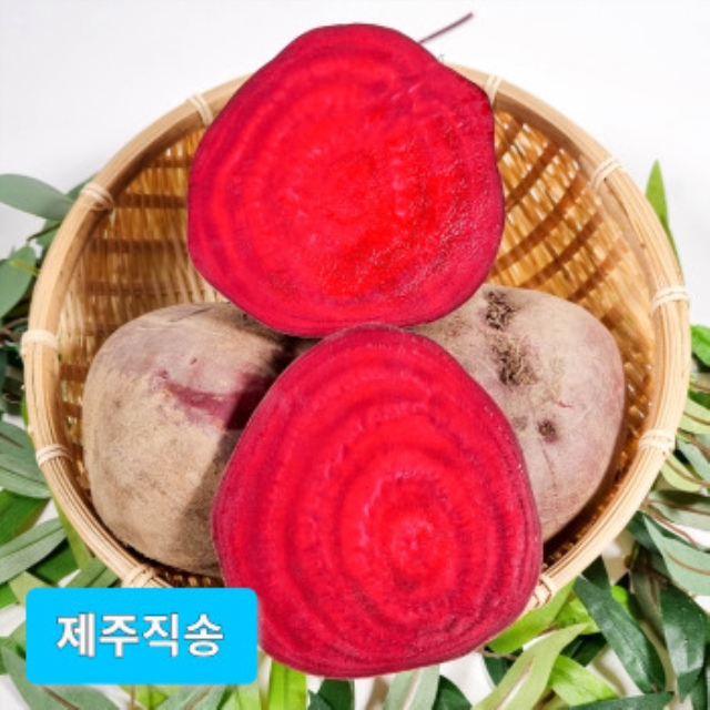 제주 레드 비트 1kg 