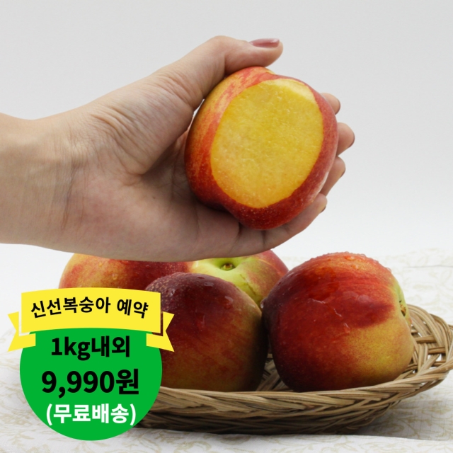 (예약)가정용 신선복숭아 2kg