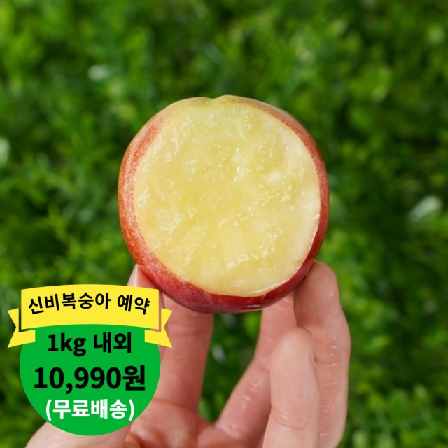 (예약)가정용 신비복숭아 2kg