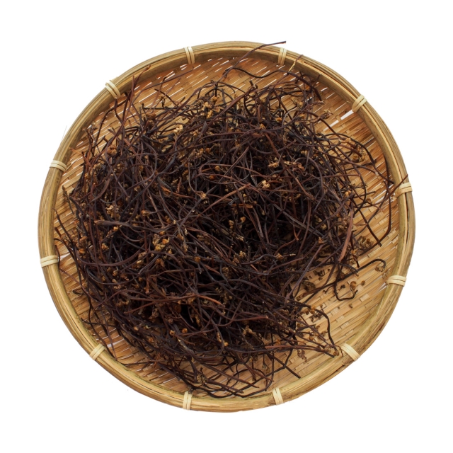 햇건고사리 100g