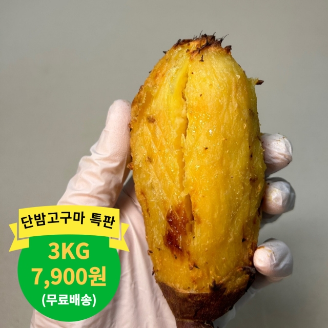 [특판]해남직송 밤고구마 3kg