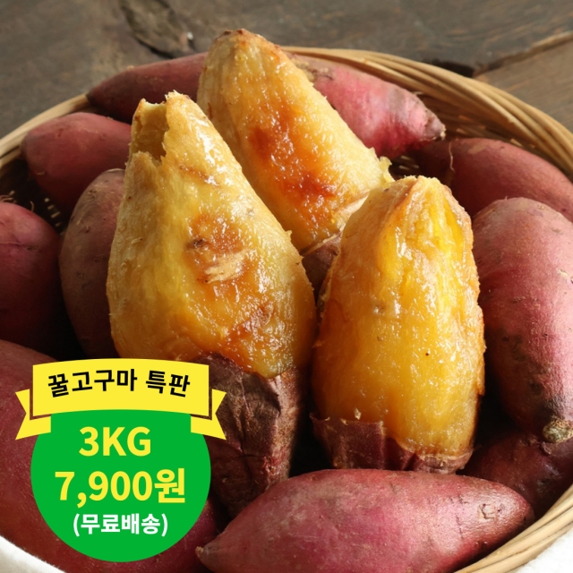 [특판]해남직송 햇꿀고구마 3kg