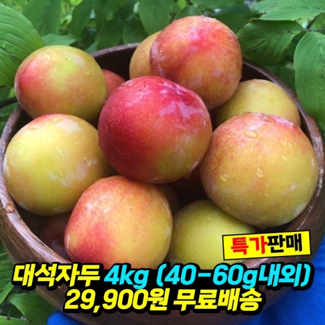 [무료배송] 새콤달콤! 대석자두 4kg