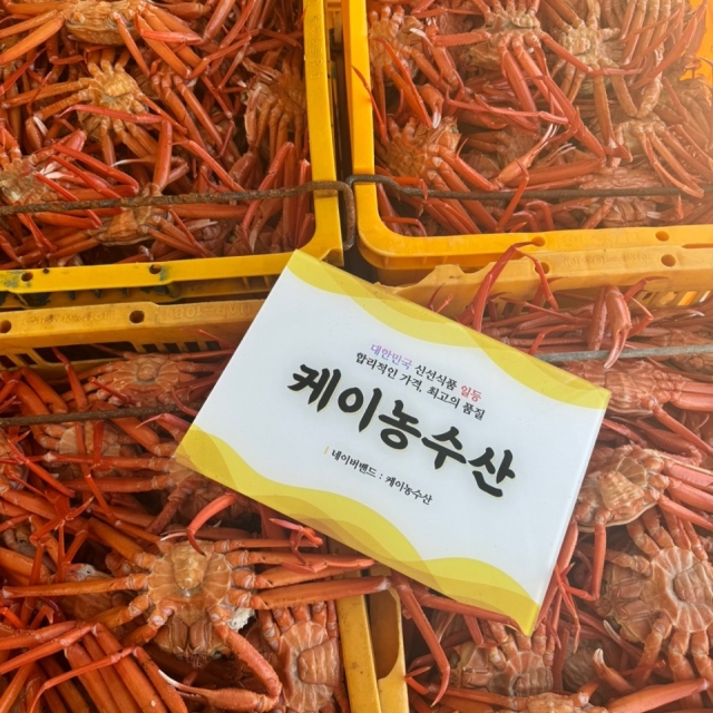 수율 90% 홍게중대자  4kg!