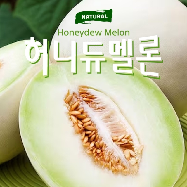 벌꿀향이 가득! 허니듀 메론