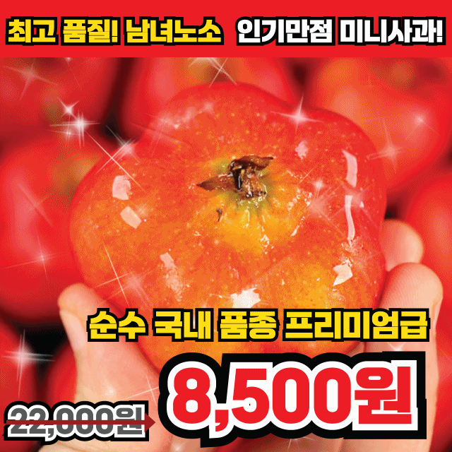 영주 레드스타 별사과