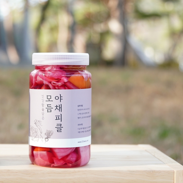 오이 양파 양배추 무 비트 수제 모듬야채피클 580g