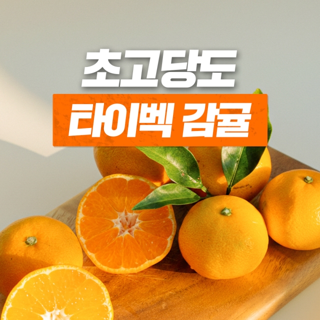 https://spdy-flexg-ha.flexgate.co.kr/data/goods/mffarm11/small/thum2/251118_타이벡썸네일(셀러).jpg