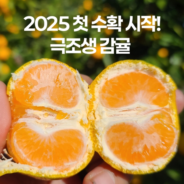 https://spdy-flexg-ha.flexgate.co.kr/data/goods/mffarm11/small/thum2/극조생셀러썸넬.jpg