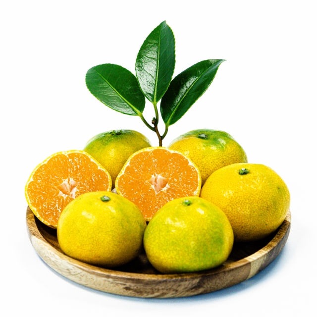 https://spdy-flexg-ha.flexgate.co.kr/data/goods/mffarm11/small/thum2/제목없음1_20251020114912288_1.jpg