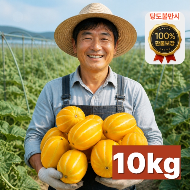 (당도보장)불만족시 환불 가정용 고당도 꿀 성주참외 10kg