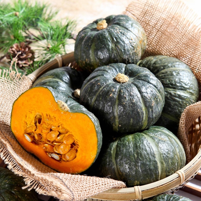 제주 햇 미니 단호박 보우짱 1.5kg 3kg