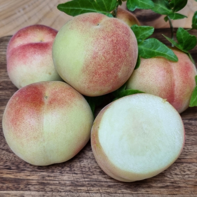 아삭달콤한 대극천 복숭아(소) 1kg 2kg
