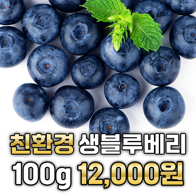 무농약 친환경 생 블루베리 100g 16mm 18mm 20mm