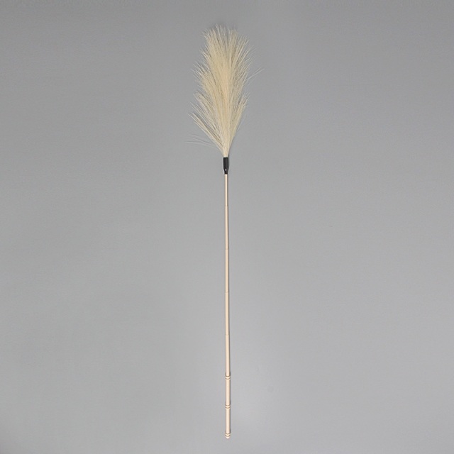펫모닝 고양이 마음은 갈대 PMC-397