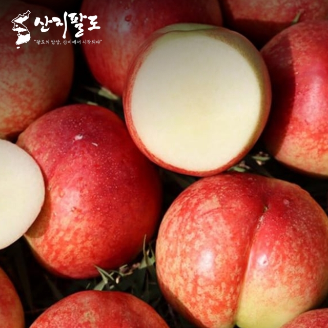 [산지팔도] 맛있는 신비복숭아 초고당도  14brix 프리미엄 백화점용 100% 품질보장