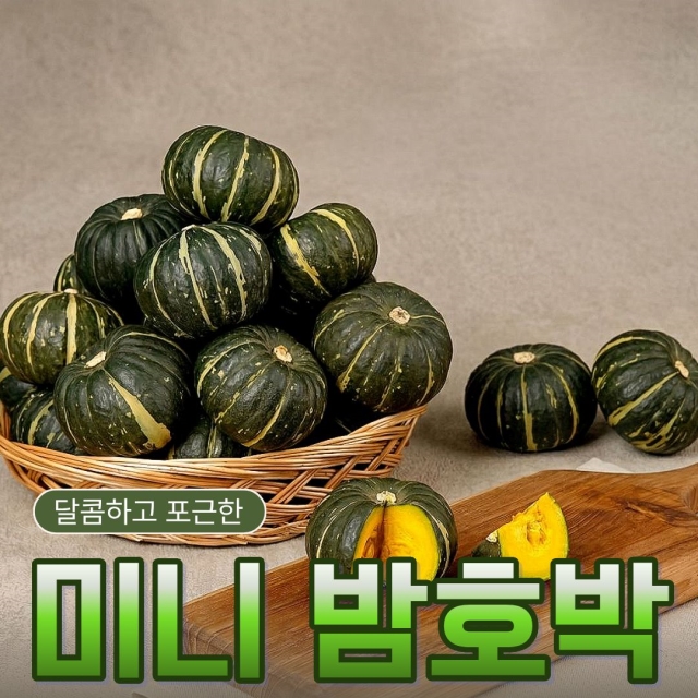 맛통령 2026년 햇 미니 밤호박	