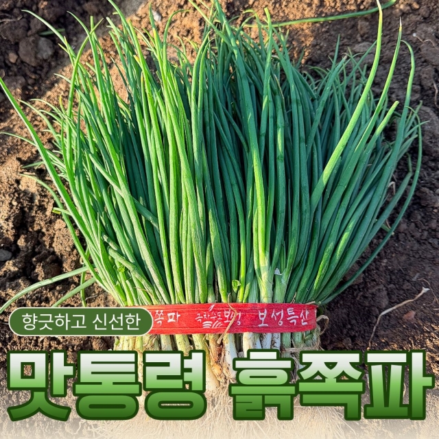 맛통령 국내산 흙쪽파 1.5kg 3kg	