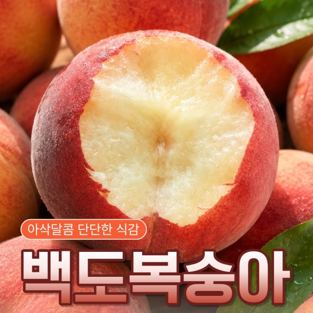 [로얄과/특품 엄선] 아삭한 딱딱이 백도복숭아 2kg 4kg