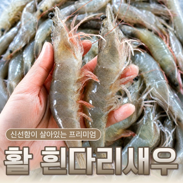 [특가할인] 26년 국내산 활 흰다리 새우 1kg