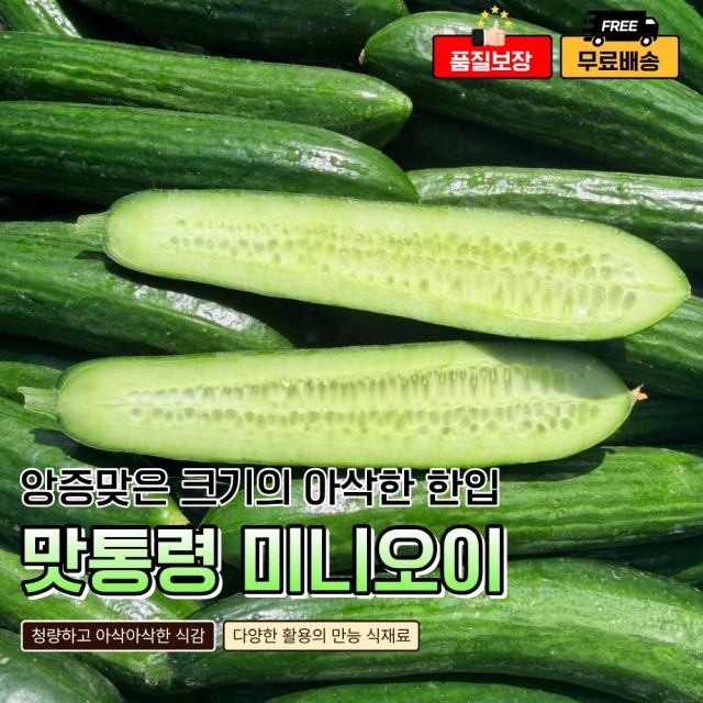 맛통령 국내산 미니오이