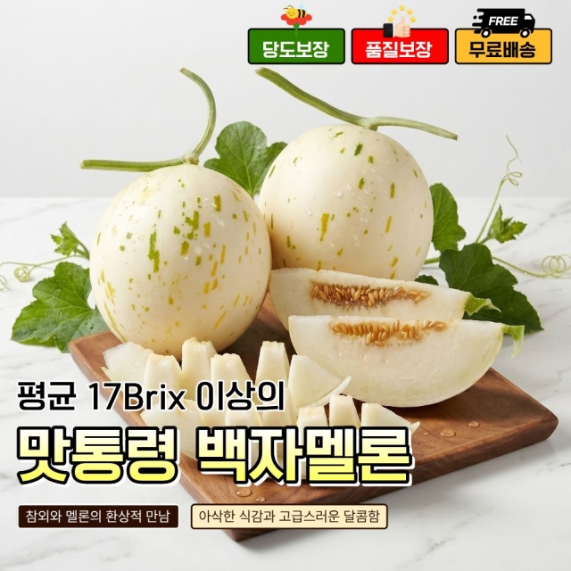 맛통령 고당도 백자멜론	