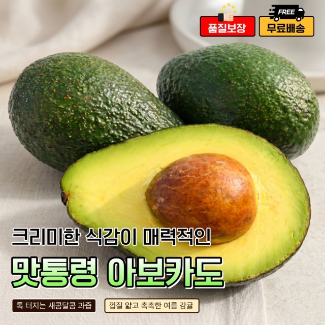 [품질보장] 직수입 프리미엄 아보카도