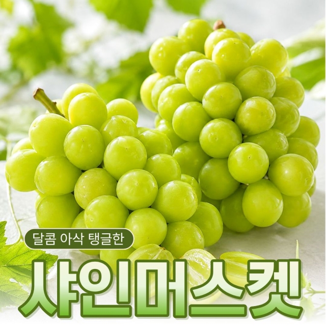 [18Brix이상] 프리미엄 고당도 샤인머스켓 2kg