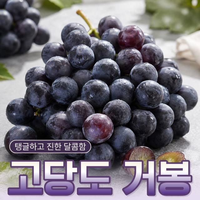 [16Brix 당도선별] 알빠짐 없이 꽉 찬 당일수확 거봉 2kg(3-4수)