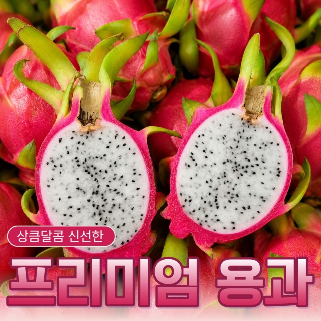 [상위 1% 특대과] 맹맛 없는 아삭함! 항공직송 프리미엄 용과