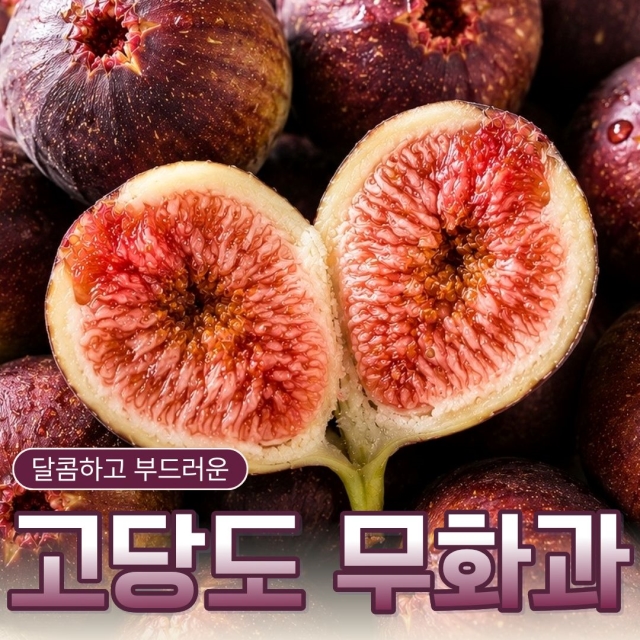 [당일수확/한정수량] 당도선별 하우스 홍무화과 500g 1kg 2kg
