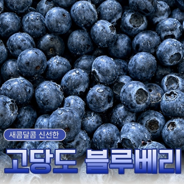 [특가할인] 새콤달콤 국내산 블루베리