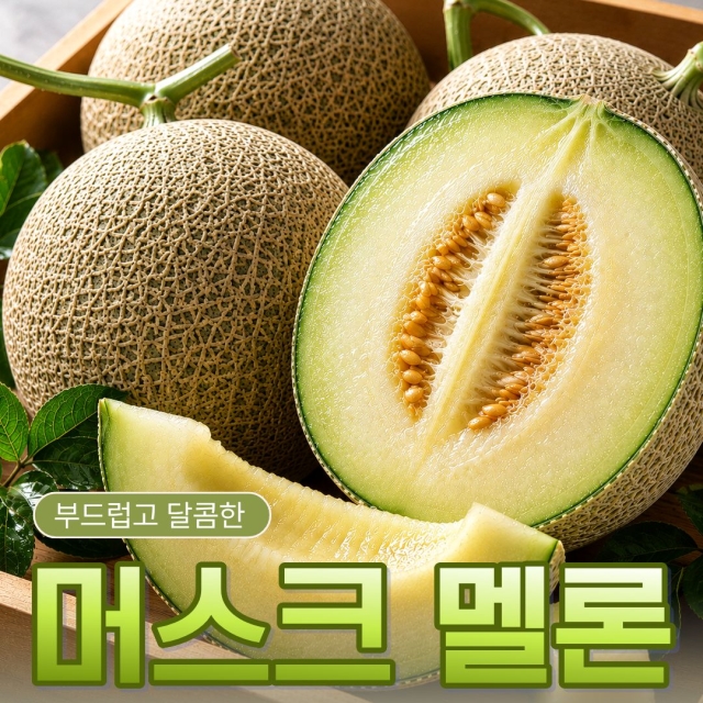 [13Brix 이상] 맛통령 고당도 머스크 멜론 8kg (3-4수)