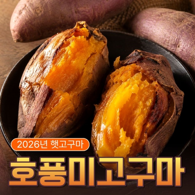 [26년 첫 수확] 호풍미 호박고구마 2kg 5kg 10kg