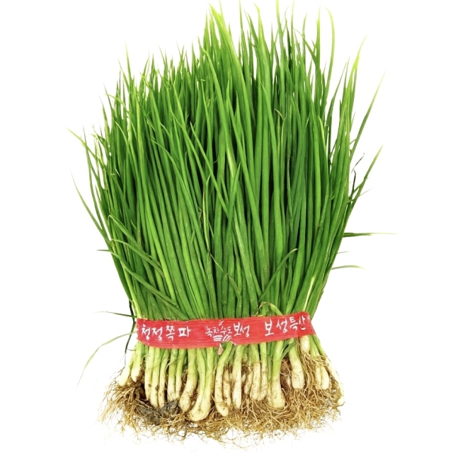 맛통령 국내산 흙쪽파 1.5kg 3kg	