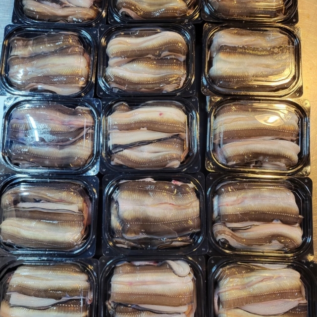 자연산 바다장어 특가!