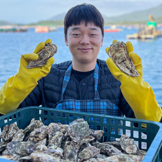 통수산 제철 통영 프리미엄 입망 석화 3kg 굴 세척