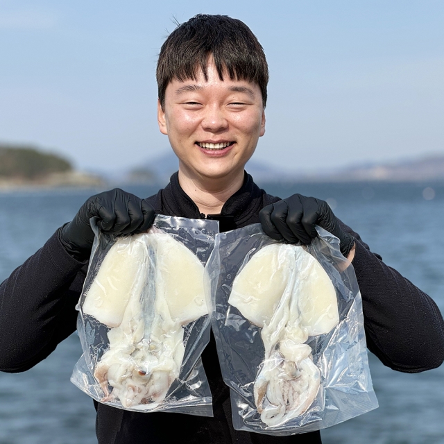 통수산 손질 반건조 대왕갑오징어 완전손질 생물 갑오징어