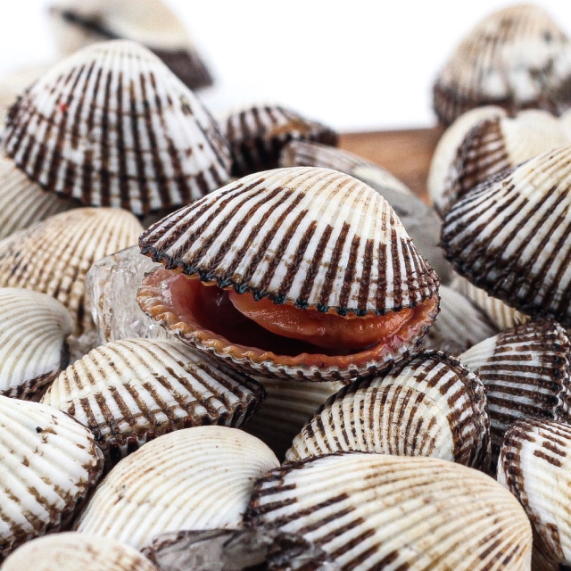 알 꽉찬 여수 새꼬막(대)1kg