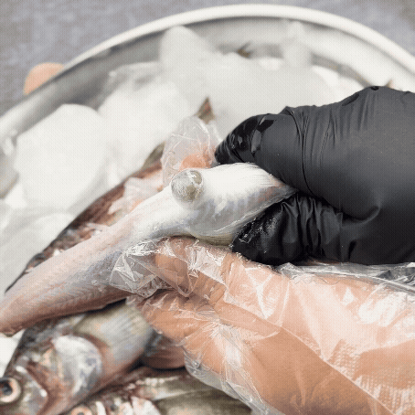 100% 알배기도루묵 ,양미리 겨울 제철 생선