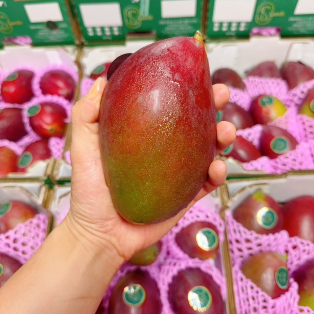 https://spdy-flexg-ha.flexgate.co.kr/data/goods/xgj081200/small/thum2/S__1081372.jpg