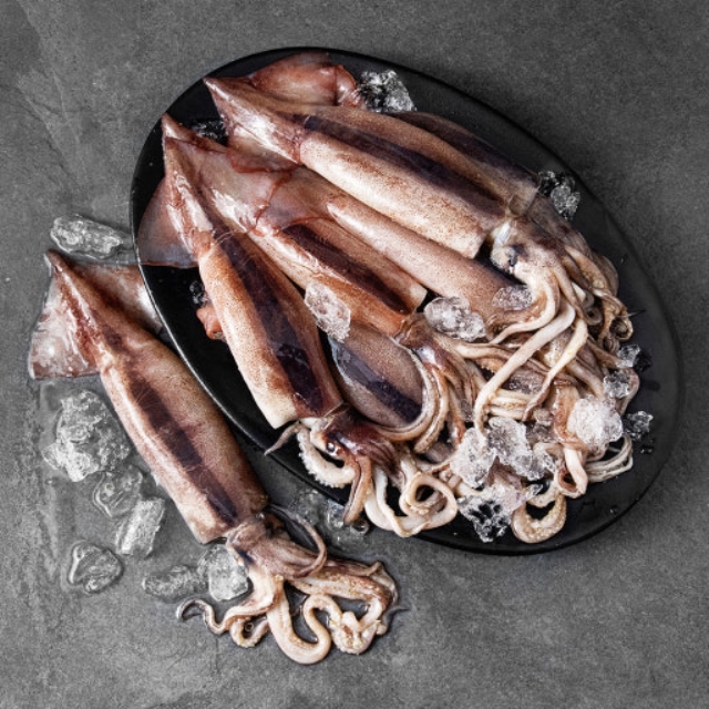 국내산 급냉 오징어1kg(9~10마리)