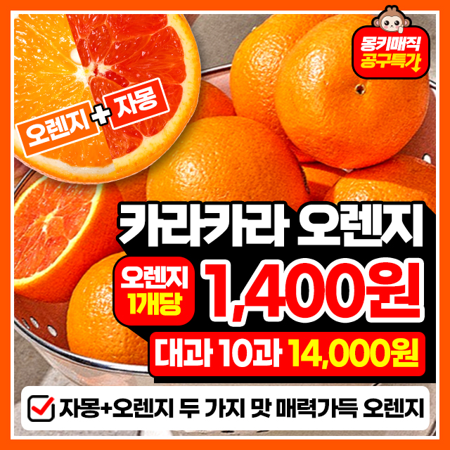 오렌지+자몽 두가지맛 카라카라 오렌지 대과 10과~