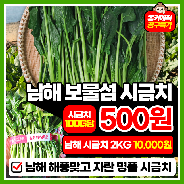 해풍맞은 남해 보물섬 시금치 2KG