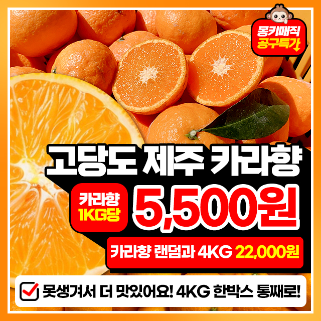 제주의 봄귤~ 제주 고당도 제철 카라향 4KG~
