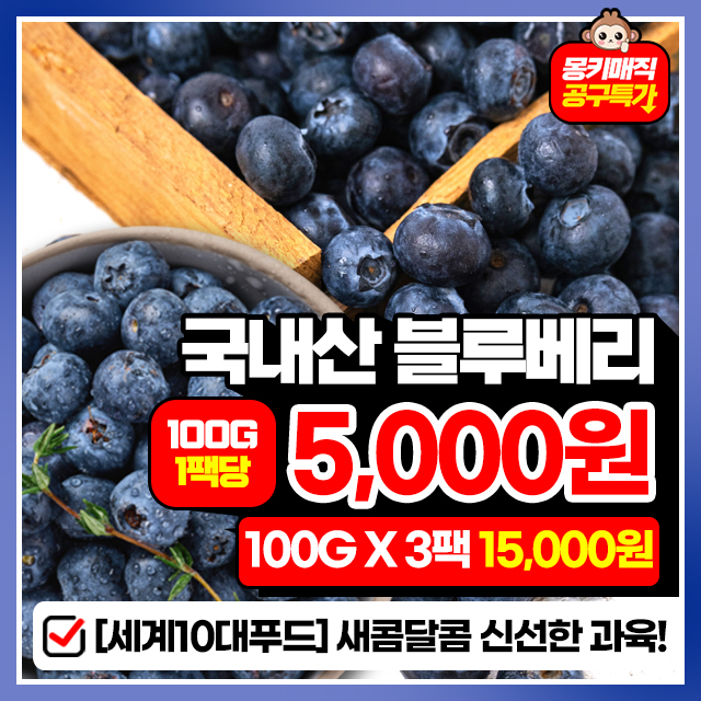 수입NO! 100% 국내산 건강과일! 블루베리 100G X 3팩 (중과/대과/특대)