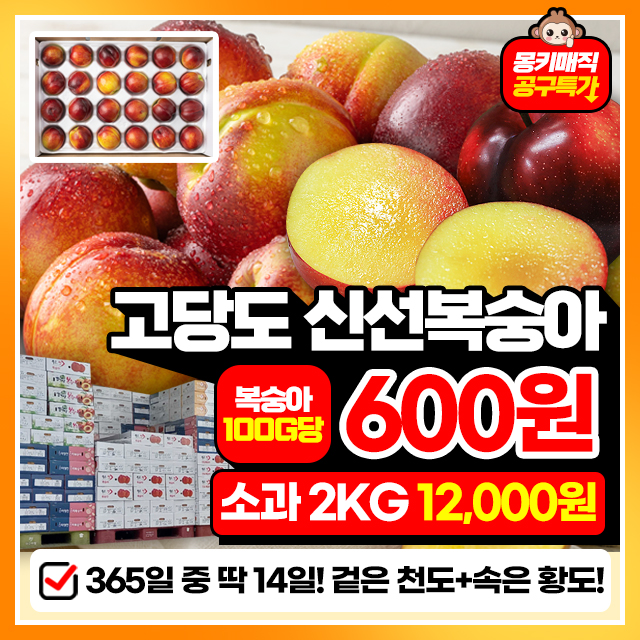 [예약판매] 딱 2주만 만날수있는!! 천도+백도 신선복숭아 2KG/4KG